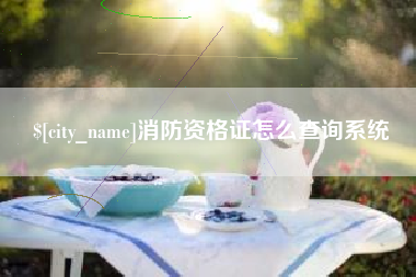 东至消防资格证怎么查询系统