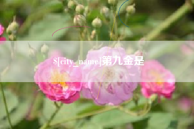 东至第九金是