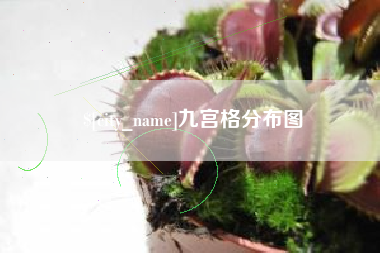 东至九宫格分布图