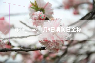 东至11月9日消防日全称