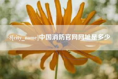 东至中国消防官网网址是多少