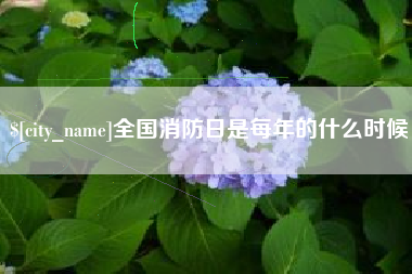 东至全国消防日是每年的什么时候