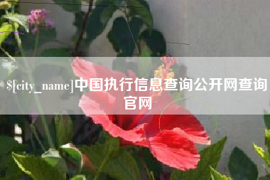 东至中国执行信息查询公开网查询官网