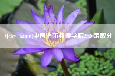 东至中国消防救援学院2020录取分