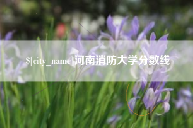 东至河南消防大学分数线