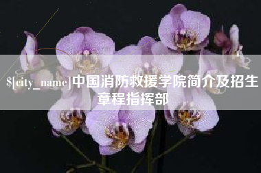 东至中国消防救援学院简介及招生章程指挥部