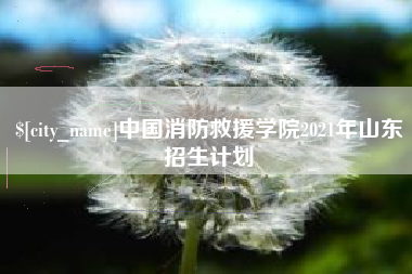东至中国消防救援学院2021年山东招生计划