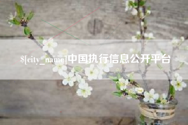 东至中国执行信息公开平台