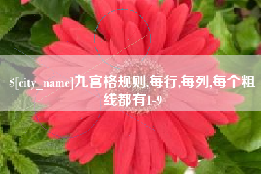 东至九宫格规则,每行,每列,每个粗线都有1-9