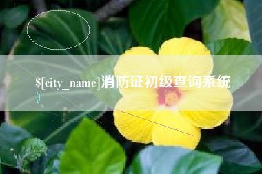 东至消防证初级查询系统