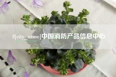东至中国消防产品信息中心