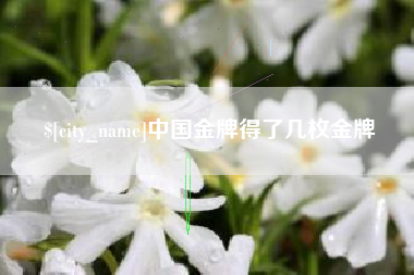 东至中国金牌得了几枚金牌