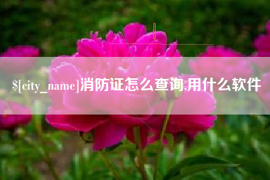 东至消防证怎么查询,用什么软件