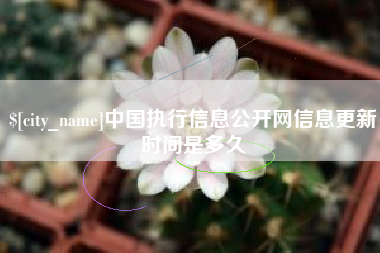 东至中国执行信息公开网信息更新时间是多久