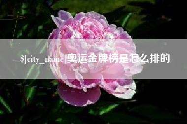 东至奥运金牌榜是怎么排的