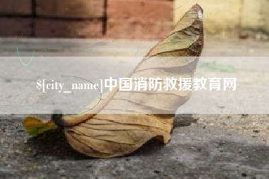 东至中国消防救援教育网