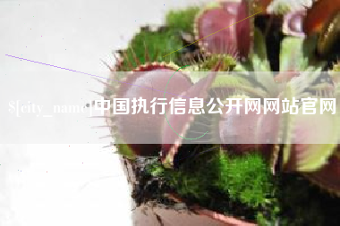 东至中国执行信息公开网网站官网