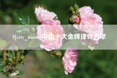 东至中国十大金牌律师名单