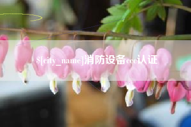 东至消防设备ccc认证