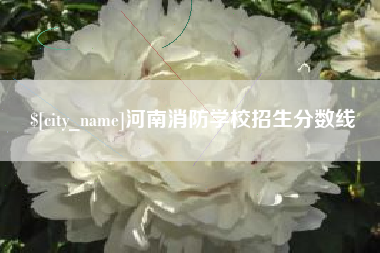 东至河南消防学校招生分数线