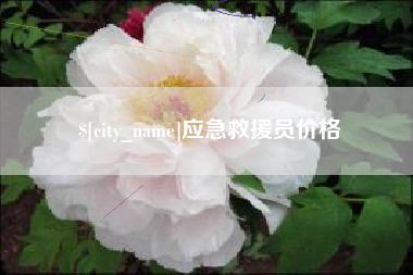 东至应急救援员价格