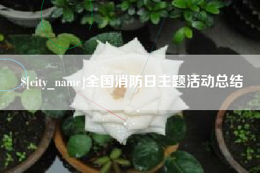 东至全国消防日主题活动总结