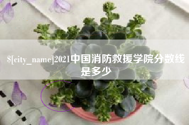 东至2021中国消防救援学院分数线是多少