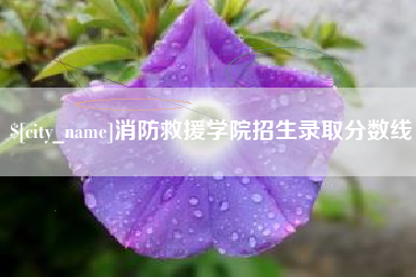 东至消防救援学院招生录取分数线