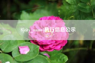 东至执行信息公示