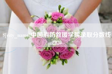 东至中国消防救援学院录取分数线2020