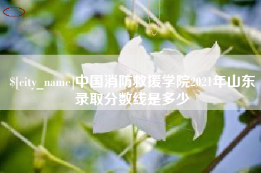 东至中国消防救援学院2021年山东录取分数线是多少