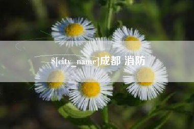 东至成都 消防