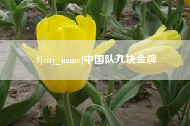 东至中国队九块金牌
