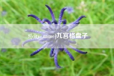 东至九宫格盘子