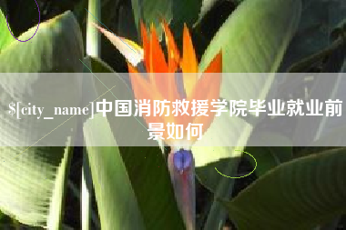 东至中国消防救援学院毕业就业前景如何