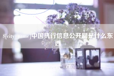 东至中国执行信息公开网是什么东西