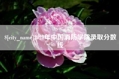 东至2021年中国消防学院录取分数线