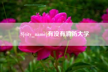 东至有没有消防大学