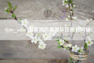 东至国家消防救援队伍报名网址