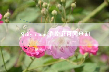 东至消控证官网查询