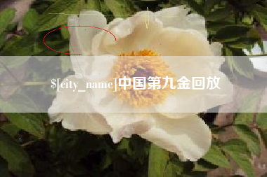 东至中国第九金回放