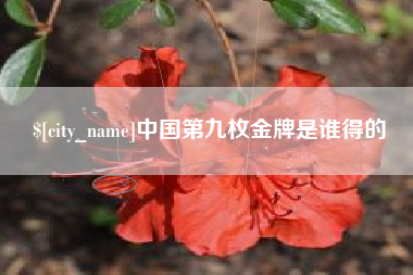 东至中国第九枚金牌是谁得的