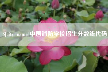 东至中国消防学校招生分数线代码