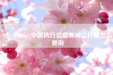 东至中国执行信息查询公开网怎么查询