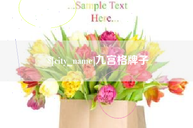 东至九宫格牌子