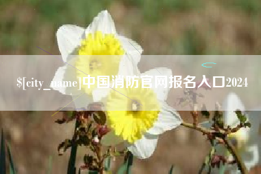 东至中国消防官网报名入口2024