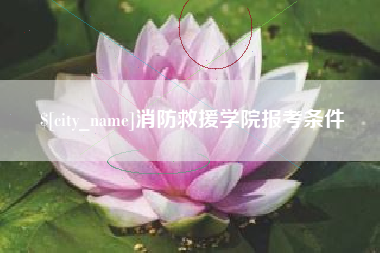 东至消防救援学院报考条件