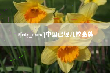 东至中国已经几枚金牌