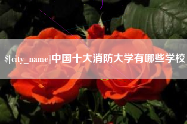东至中国十大消防大学有哪些学校