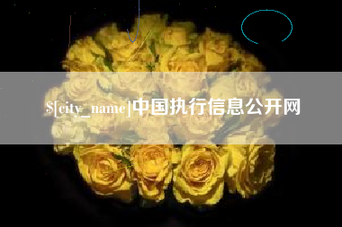 东至中国执行信息公开网